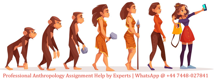 Anthropology Assignment Help