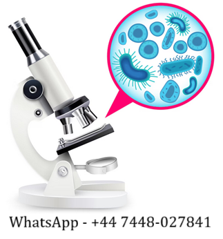 Biology Assignment Help