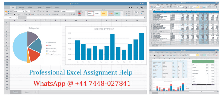 Excel Assignment Help
