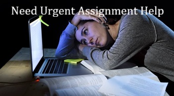 Urgent Assignment Help